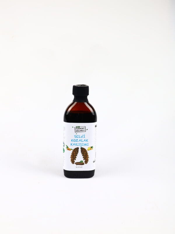 Beferment Organic Çam Kozalağı Mix 220 g x 4 Adet