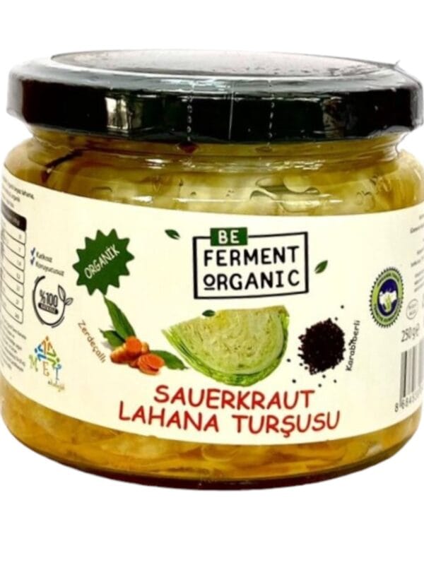Beferment Organic Gin Lahana Turşu 250 g x 4 Adet