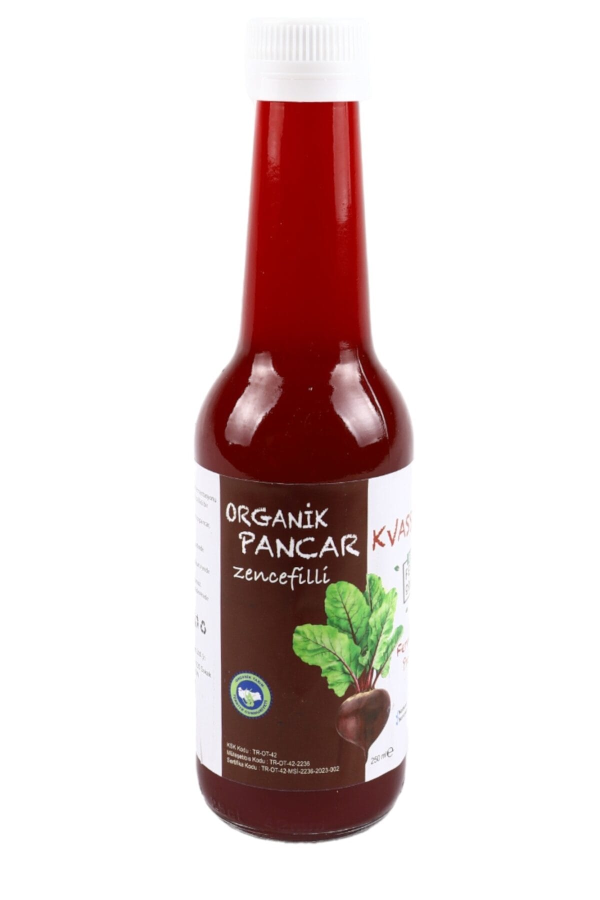 Beferment Organic Pancar Kvass Zencefilli 250 mL x 4 Adet