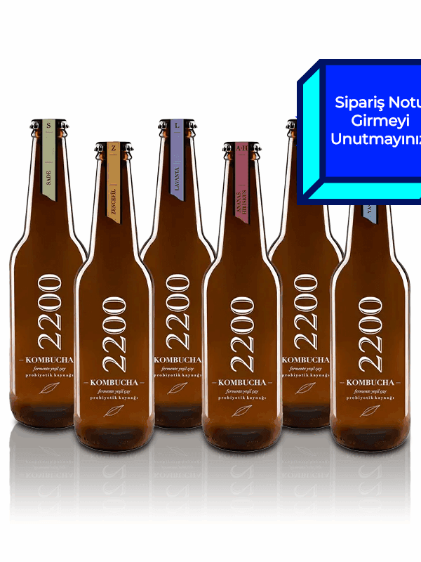Kombucha 2200 Karışık Koli 330 mL x 25 Adet