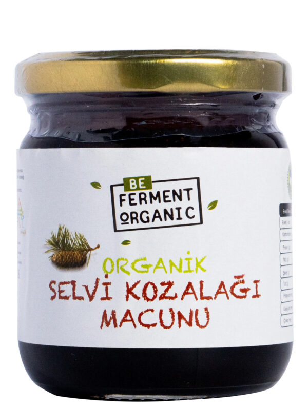 Beferment Organic Çam Kozalaklı Macun 240 g x 4 Adet