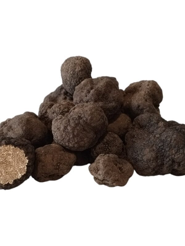 Gurme Trüf Taze Siyah Trüf Mantarı 1 kg