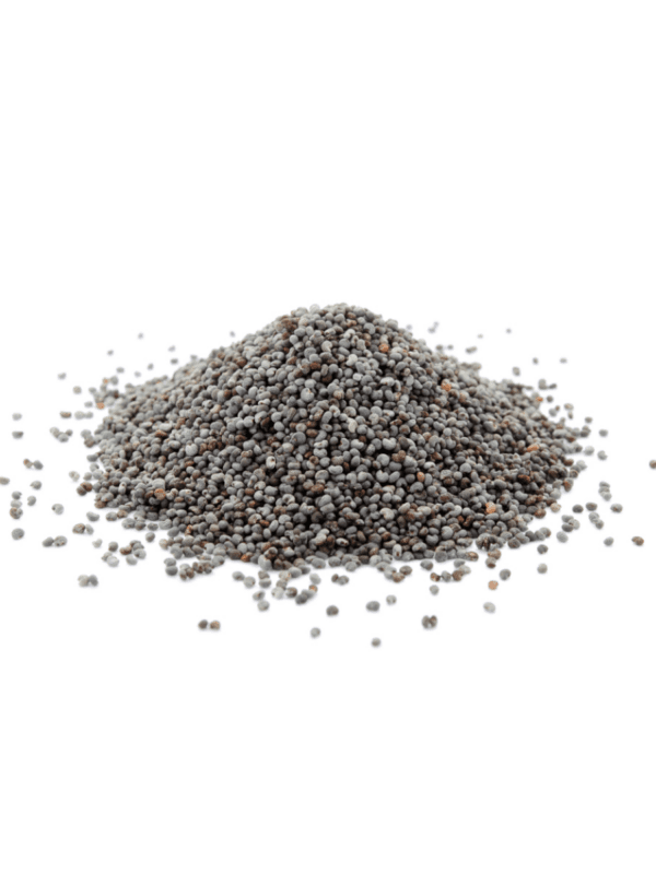 Haşhaş Mavi Paket 5 kg